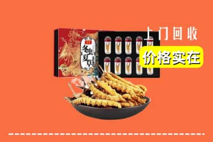 乐山市峨边回收冬虫夏草