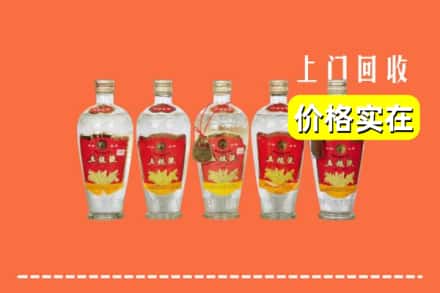乐山市峨边回收老五粮液